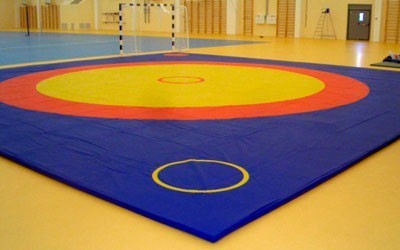 Спортивные борцовские ковры