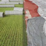 Модульное защитное покрытие для травы