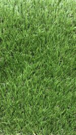 «LandScape» структура