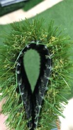 «LandScape» в разрезе