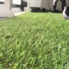 Искусственная трава в интерьере квартиры