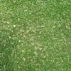 Укладка газона - используем наполнитель в искусственном покрытии