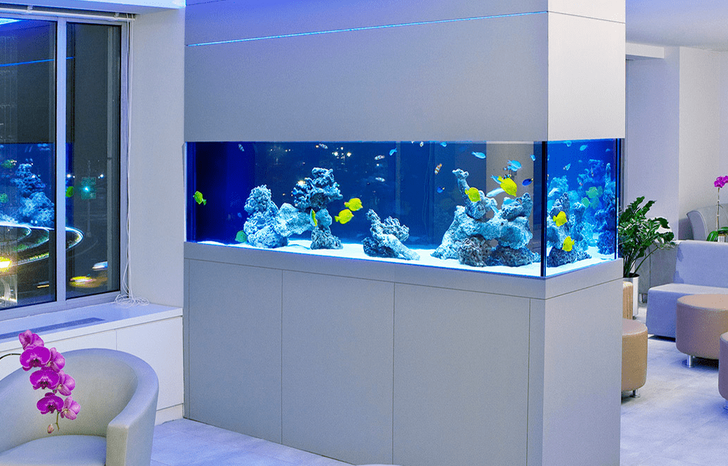 Fish room. Аквариум в доме по фен-шуй. Эксклюзивный аквариум фото. Аквариум встроенныйэ фото.