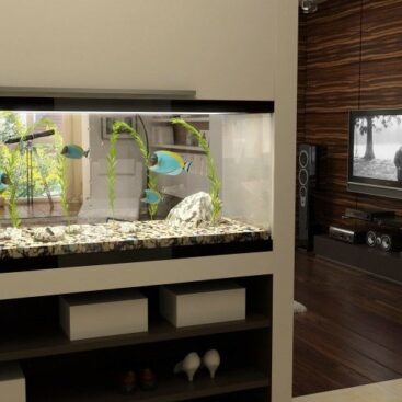 Зонирование гостиной с помощью аквариума, встроенного в перегородку