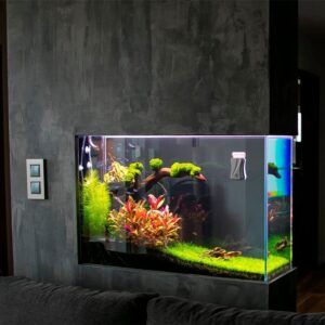 Декоративный аквариум в интерьере