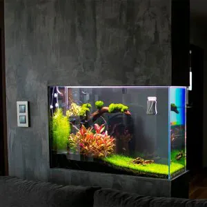 Декоративный аквариум в интерьере